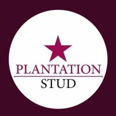 plantation Stud logo